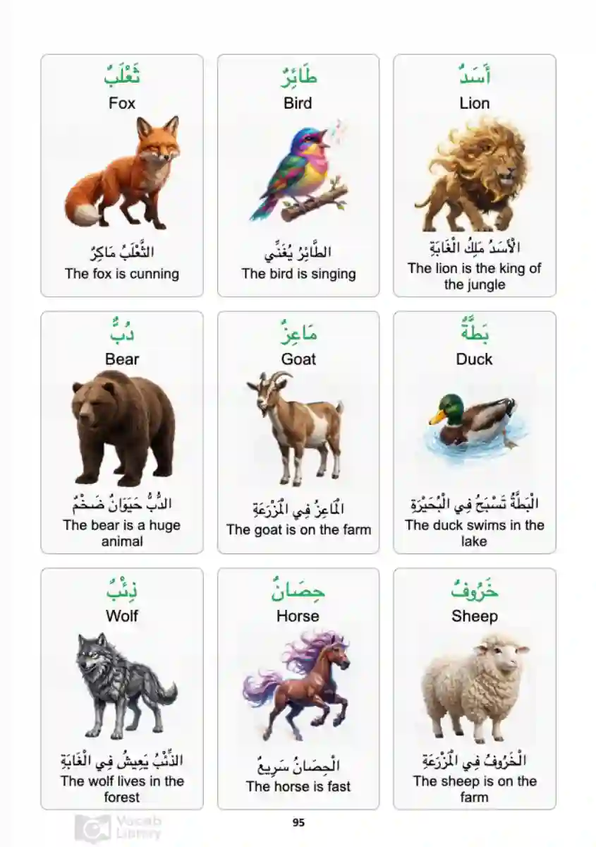Animals Vocabulary